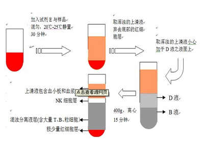 大鼠載脂蛋白B100ELISA試劑盒廠家 上海勁馬實(shí)驗(yàn)設(shè)備概述